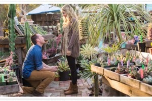 Danielle Poff proposal