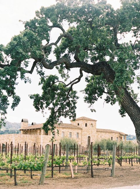 Entrance of sunstone villa with vineyards in foreground